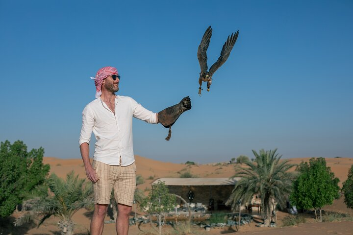 Experience the thrill of falconry in the stunning Dubai desert where majestic birds soar through the skies while you engage in an ancient Bedouin tradition. Discover nature in a unique way!